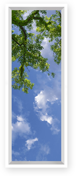 Visit our library of images custom-designed for the Personal Revelation SkyCeiling